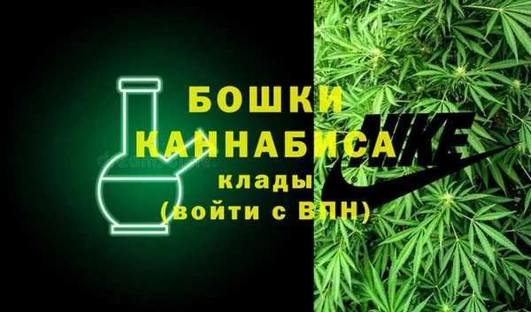 гашик Богородск